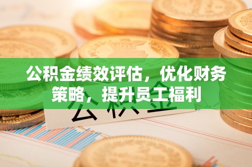 禄劝公积金绩效评估，优化财务策略，提升员工福利