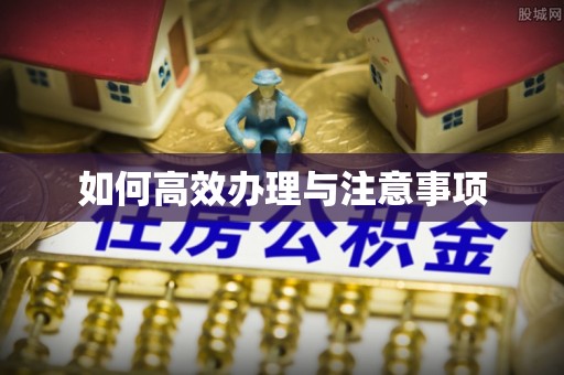 禄劝如何高效办理与注意事项