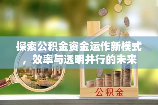 禄劝探索公积金资金运作新模式，效率与透明并行的未来