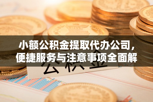 禄劝小额公积金提取代办公司，便捷服务与注意事项全面解析