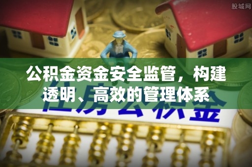禄劝公积金资金安全监管，构建透明、高效的管理体系
