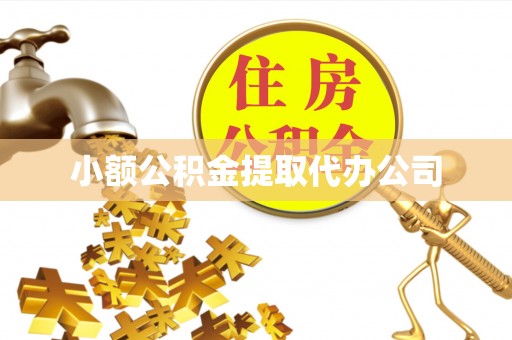 禄劝小额公积金提取代办公司
