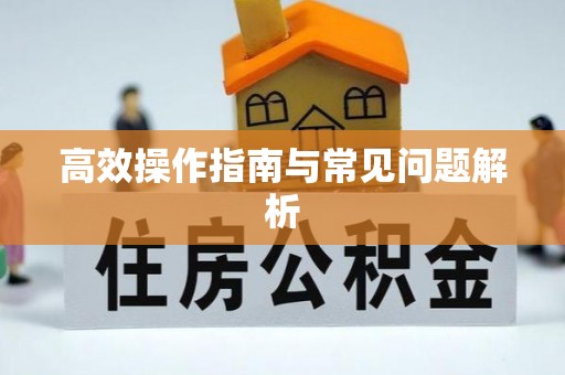 禄劝高效操作指南与常见问题解析