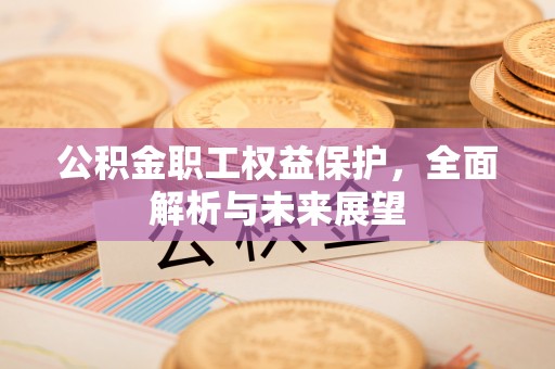 禄劝公积金职工权益保护，全面解析与未来展望