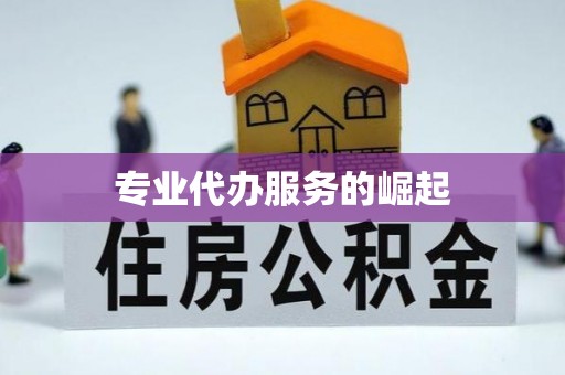 禄劝专业代办服务的崛起