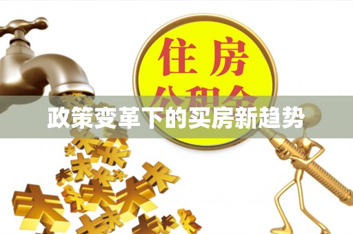 禄劝政策变革下的买房新趋势