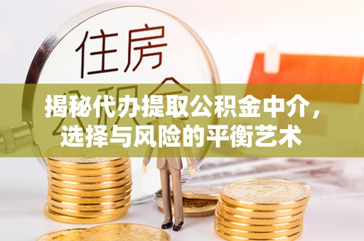 禄劝揭秘代办提取公积金中介，选择与风险的平衡艺术