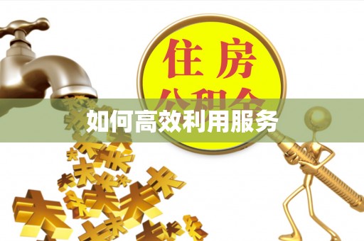 禄劝如何高效利用服务