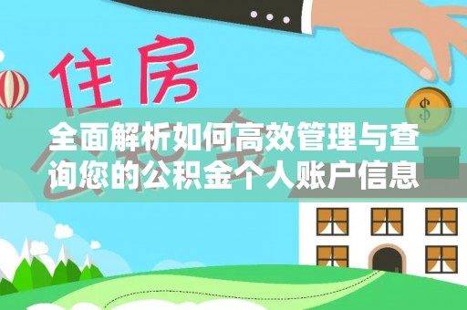 禄劝全面解析如何高效管理与查询您的公积金个人账户信息