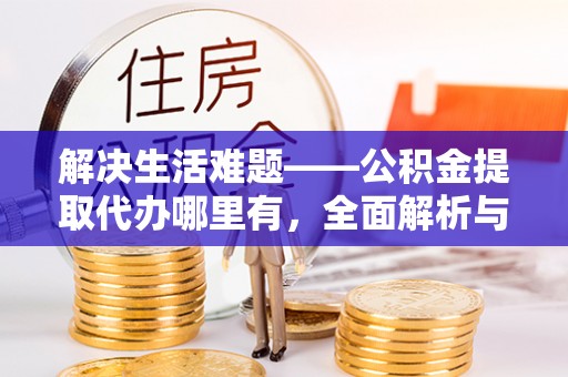 禄劝解决生活难题——公积金提取代办哪里有，全面解析与服务推荐