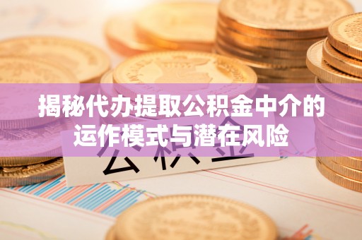禄劝揭秘代办提取公积金中介的运作模式与潜在风险