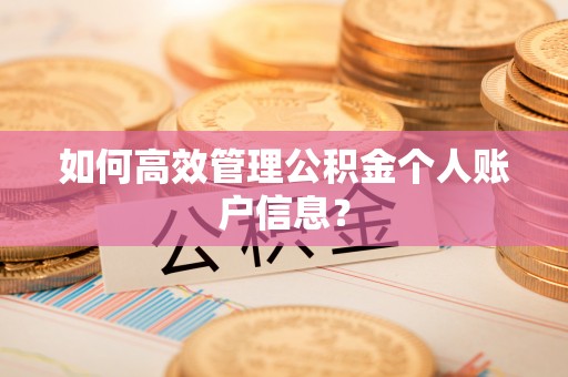 禄劝如何高效管理公积金个人账户信息？