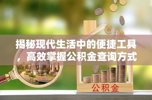禄劝揭秘现代生活中的便捷工具，高效掌握公积金查询方式