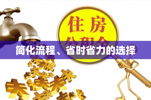禄劝简化流程、省时省力的选择