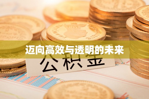 禄劝迈向高效与透明的未来