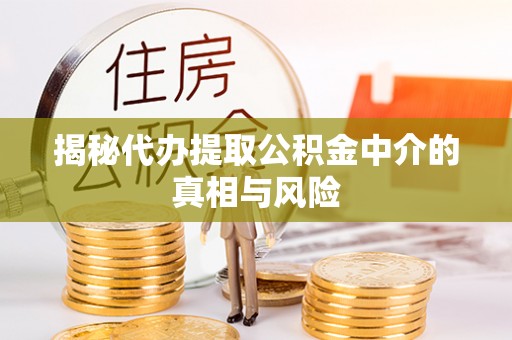 禄劝揭秘代办提取公积金中介的真相与风险
