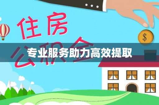 禄劝专业服务助力高效提取